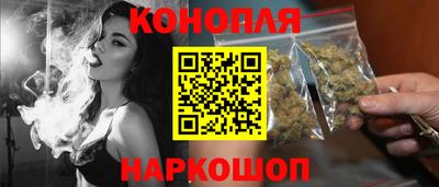 прущие крисы Гай