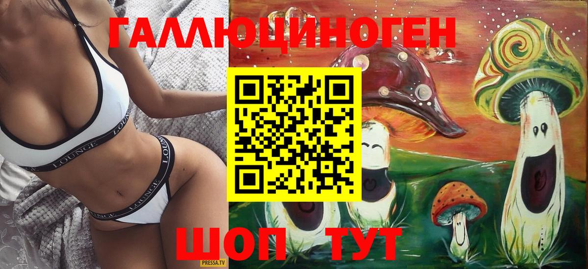 Галлюциногенные грибы Psilocybe Холмск