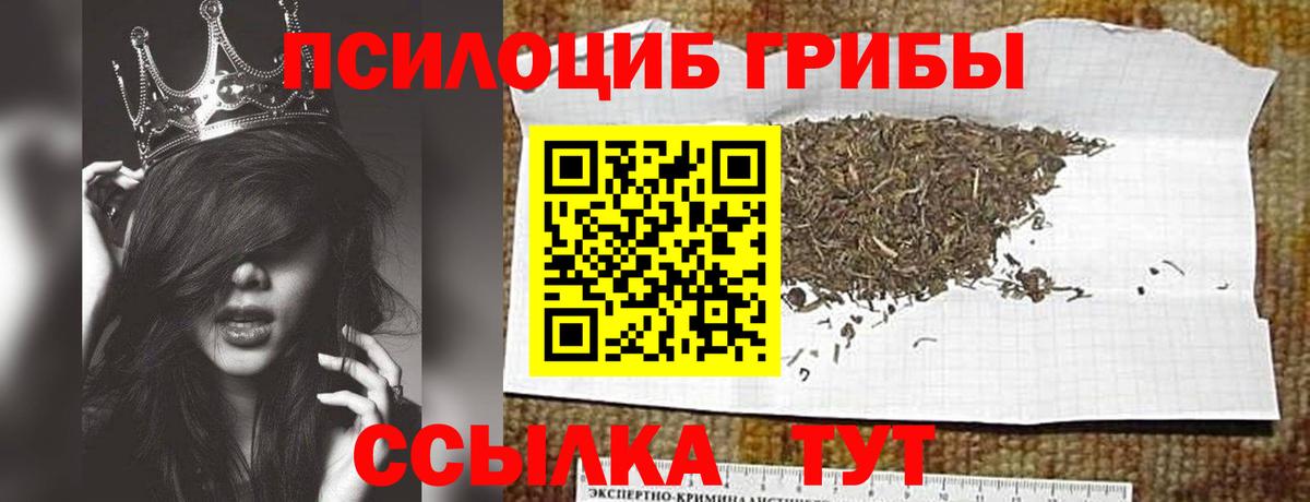 Галлюциногенные грибы мухоморы  купить наркотики сайты  Холмск  Вход с VPN 